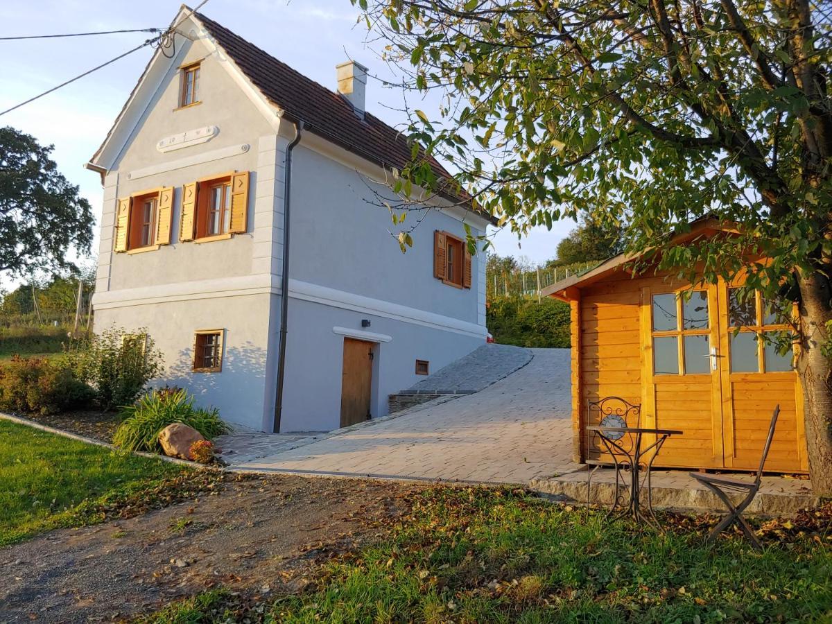 Appartement Kleine Reblaus à Bad Waltersdorf Extérieur photo