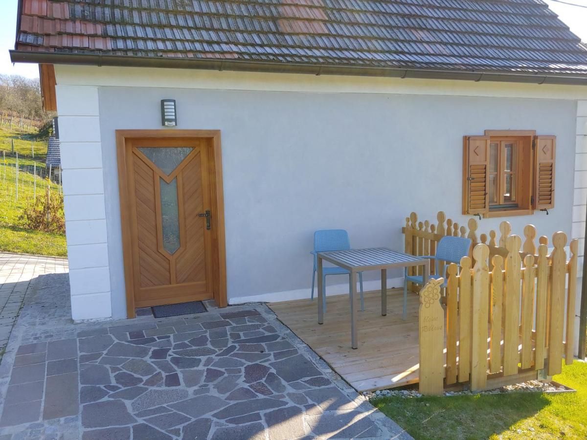 Appartement Kleine Reblaus à Bad Waltersdorf Extérieur photo