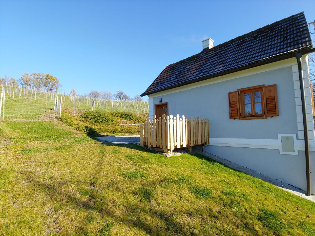 Appartement Kleine Reblaus à Bad Waltersdorf Extérieur photo