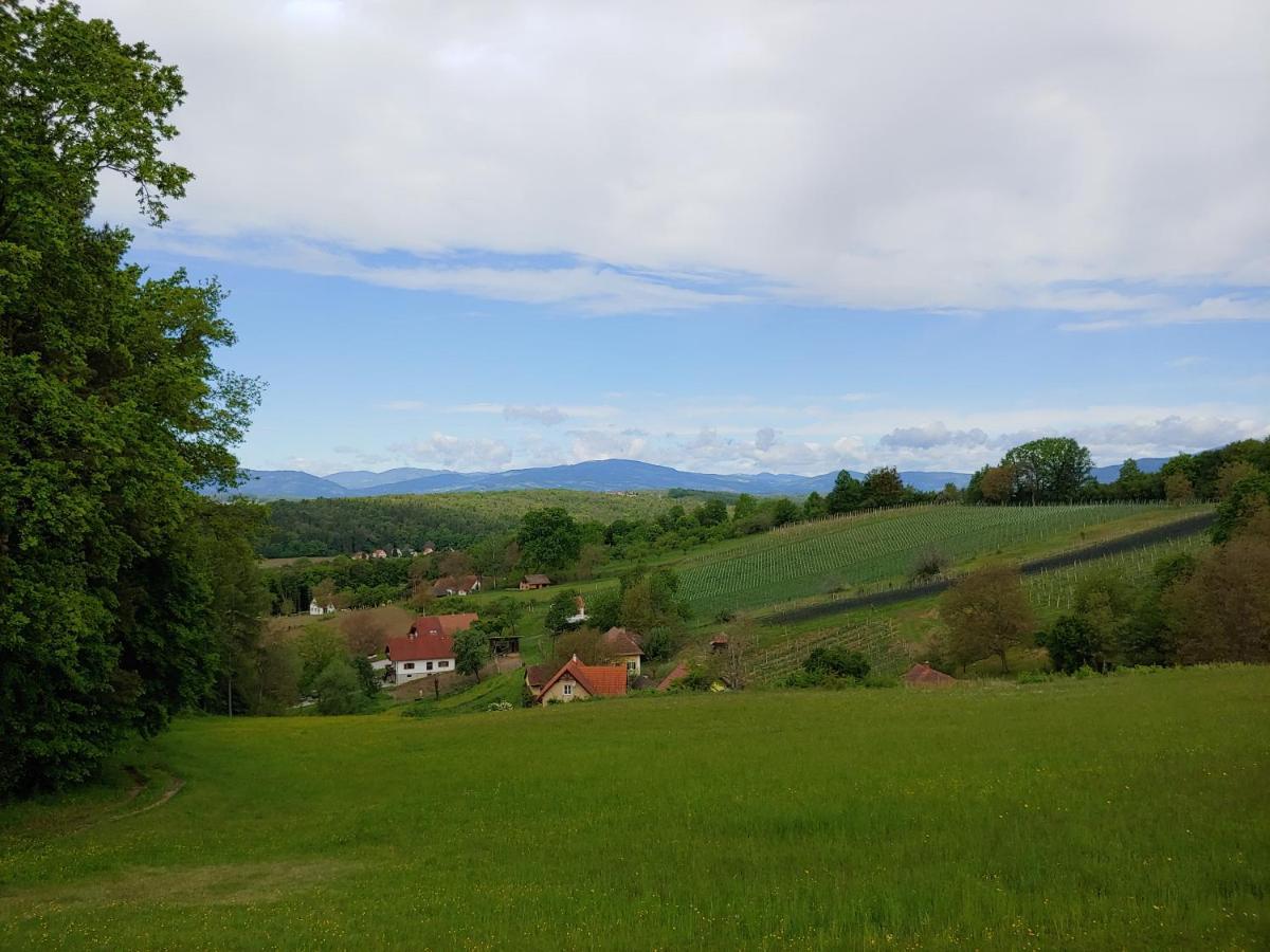 Appartement Kleine Reblaus à Bad Waltersdorf Extérieur photo